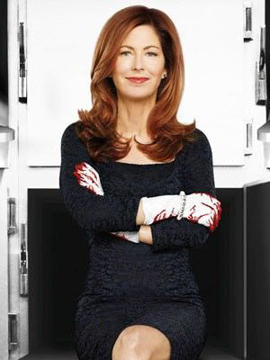 Body Of Proof : Poster