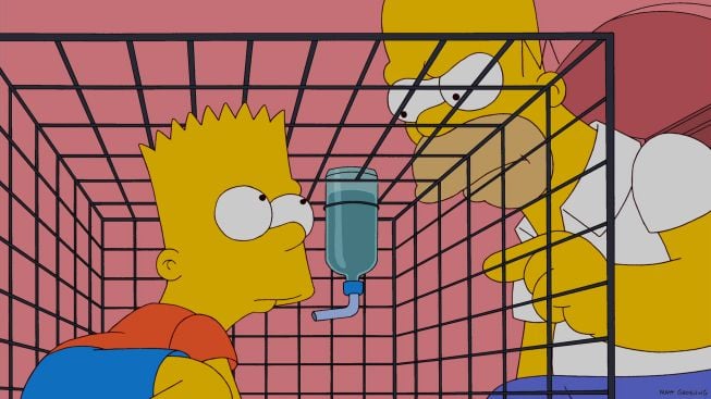Os Simpsons : Fotos