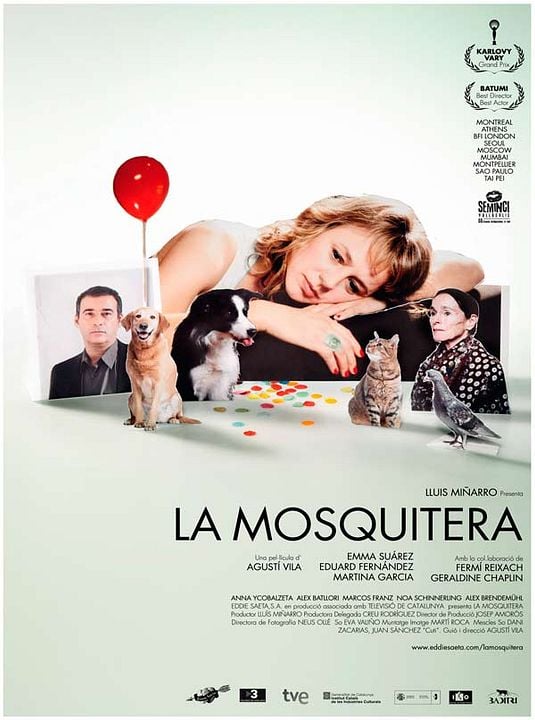 La mosquitera : Poster