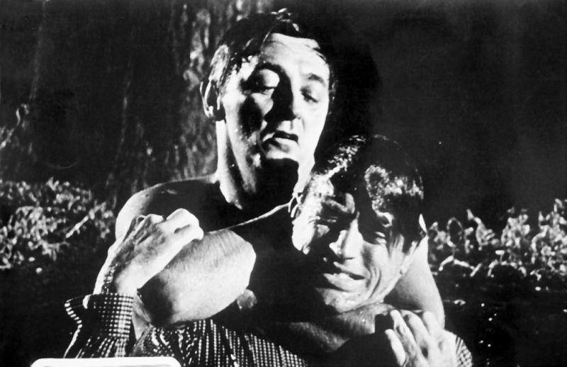 Círculo do Medo : Fotos Gregory Peck, Robert Mitchum