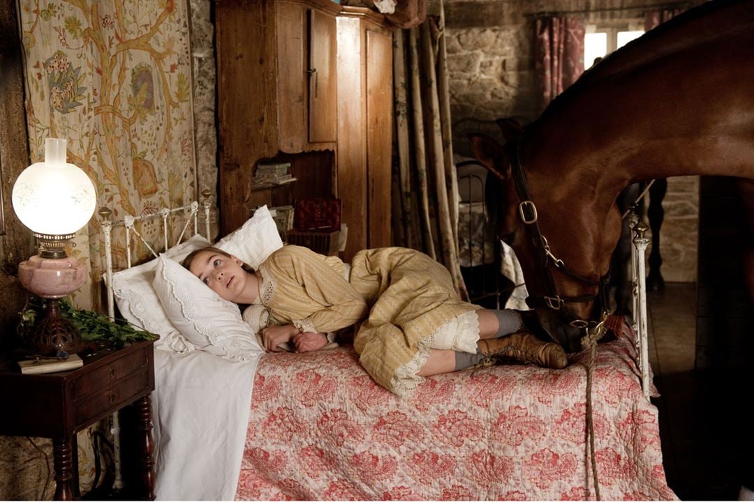 Cavalo de Guerra : Fotos Celine Buckens