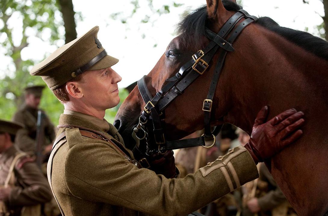 Cavalo de Guerra : Fotos Tom Hiddleston