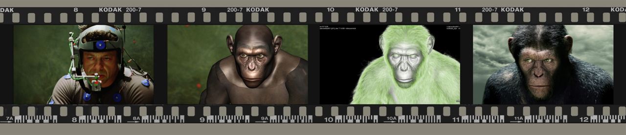 Planeta dos Macacos - A Origem : Fotos