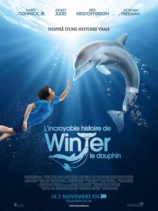 Winter, o Golfinho : Poster