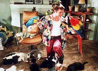Ace Ventura - Um Detetive Diferente : Fotos