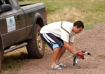 Como Se Fosse a Primeira Vez : Fotos