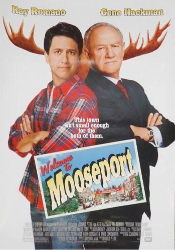 Uma Eleição Muito Atrapalhada : Poster