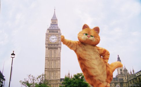 Garfield 2 : Fotos