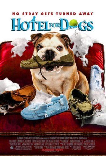 Um Hotel Bom pra Cachorro : Fotos