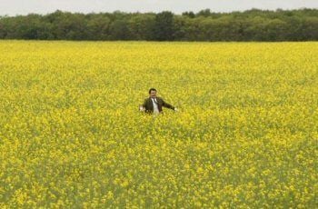 As Férias de Mr. Bean : Fotos