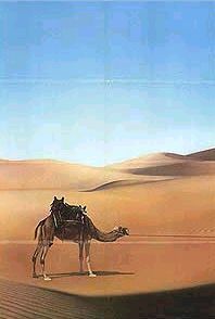 Ishtar : Fotos