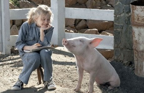 A Menina e o Porquinho : Fotos