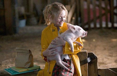 A Menina e o Porquinho : Fotos