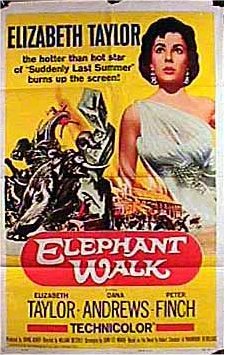 No Caminho dos Elefantes : Poster