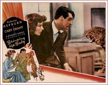 Levada da Breca : Fotos