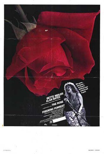A Rosa : Fotos