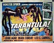 Tarântula : Fotos