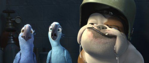 Rio : Fotos