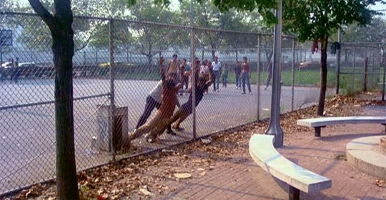 Serpico : Fotos
