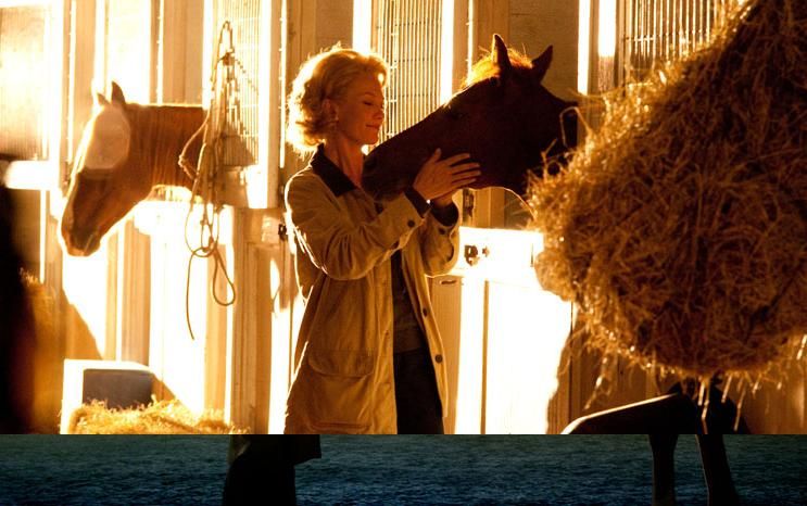 Secretariat - Uma História Impossível : Fotos