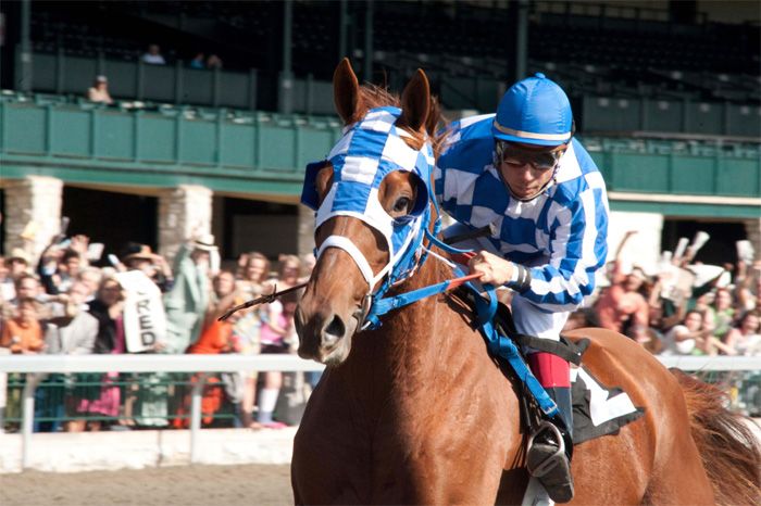 Secretariat - Uma História Impossível : Fotos
