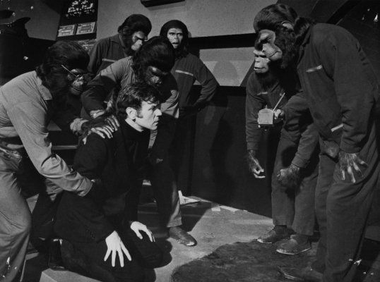 A Conquista do Planeta dos Macacos : Fotos
