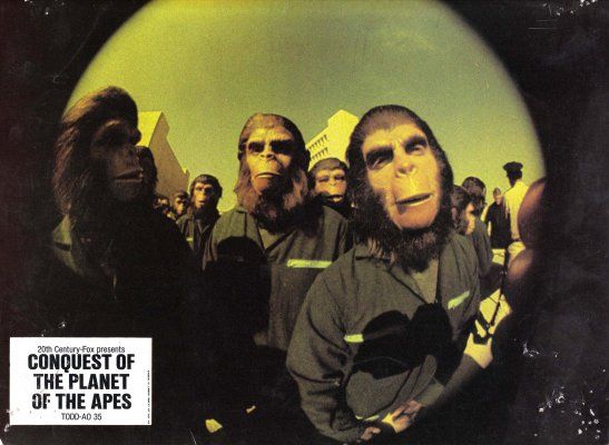 A Conquista do Planeta dos Macacos : Fotos