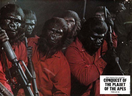 A Conquista do Planeta dos Macacos : Fotos