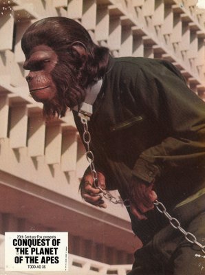 A Conquista do Planeta dos Macacos : Fotos
