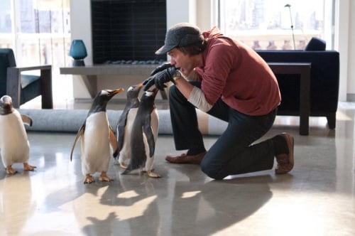Os Pinguins do Papai : Fotos