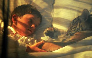 Era Uma Vez Dois Irmãos : Fotos