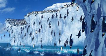 Happy Feet - O Pinguim : Fotos