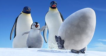 Happy Feet - O Pinguim : Fotos