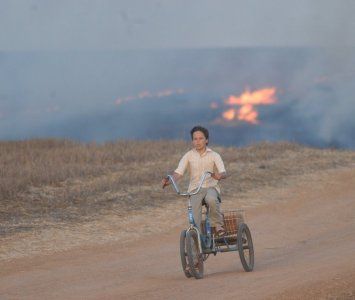 Exuberante Deserto : Fotos