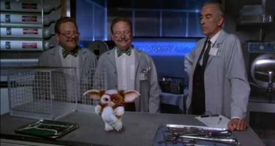 Gremlins 2 - A Nova Turma : Fotos