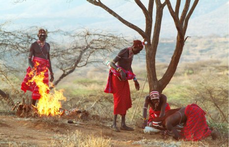 A Massai Branca : Fotos