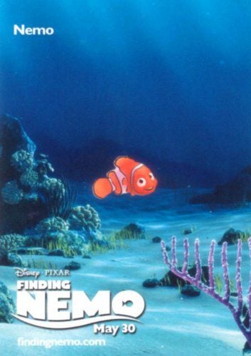 Procurando Nemo : Fotos