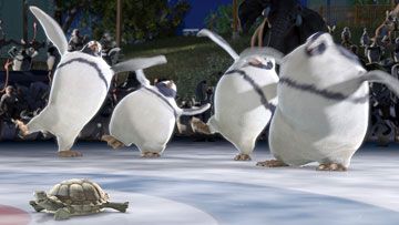 Selvagem : Fotos