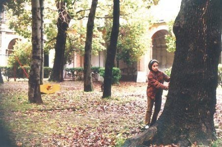 Vermelho Como o Céu : Fotos