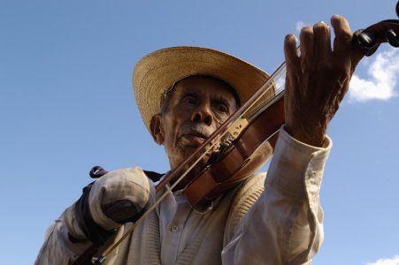 O Violino : Fotos