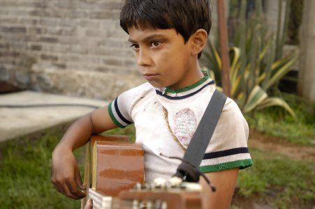 O Violino : Fotos