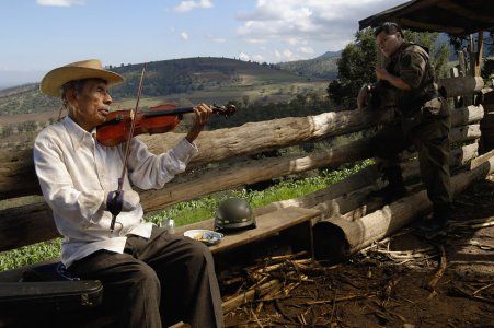 O Violino : Fotos