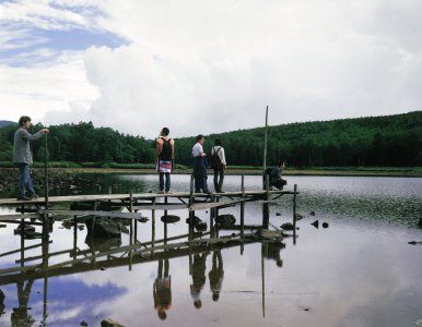 Tão Distante : Fotos