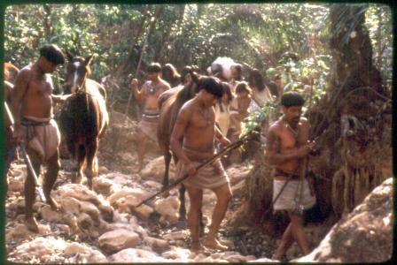 Brava Gente Brasileira : Fotos