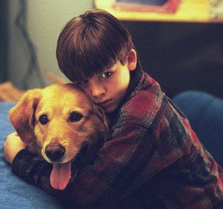 Bud, O Cão Amigo : Fotos