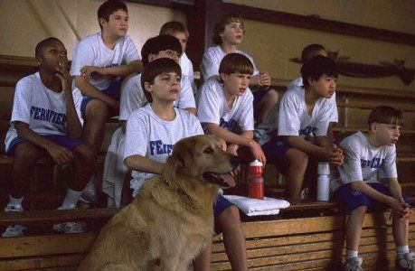 Bud, O Cão Amigo : Fotos