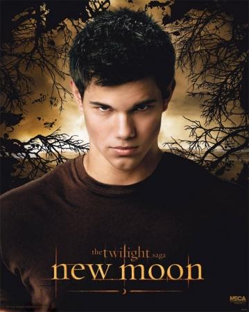 A Saga Crepúsculo: Lua Nova : Fotos