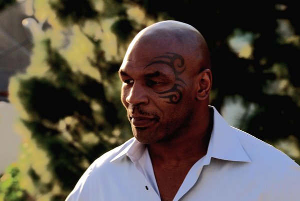 Tyson : Fotos