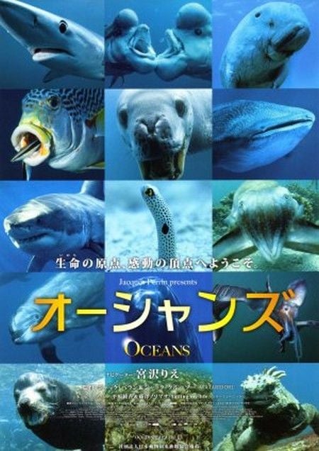 Oceanos : Fotos