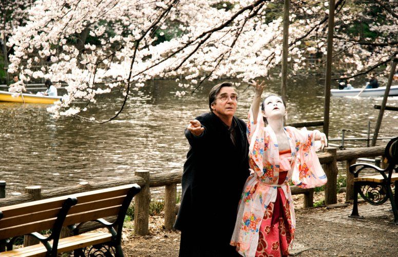 Hanami - Cerejeiras em Flor : Fotos